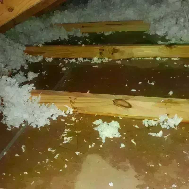 Attic Water Damage in Rosa Sanchez, PR